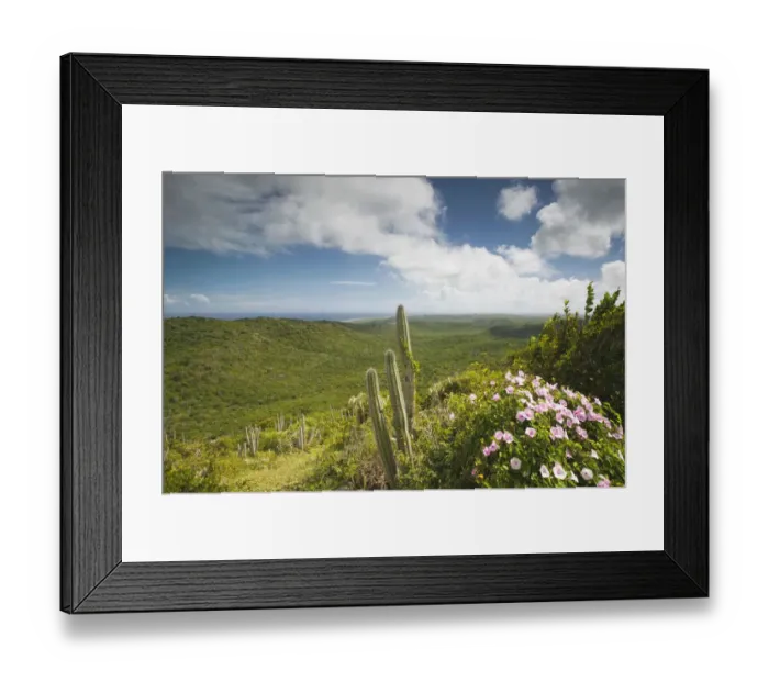 Framed Print : ABC Islands - CURACAO - Northern Curacao: Christoffel National Park - View of of Framed Print : ABC Islands - CURACAO - Northern Curacao: Christoffel National Park - View of of