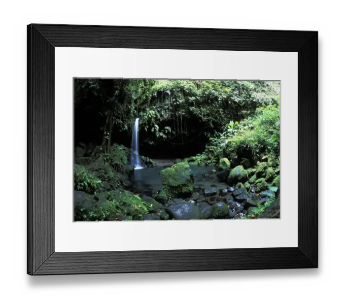 Framed Print : Rain forest Emerald Pool at Pittons National Park in Morne Trios, Dominica