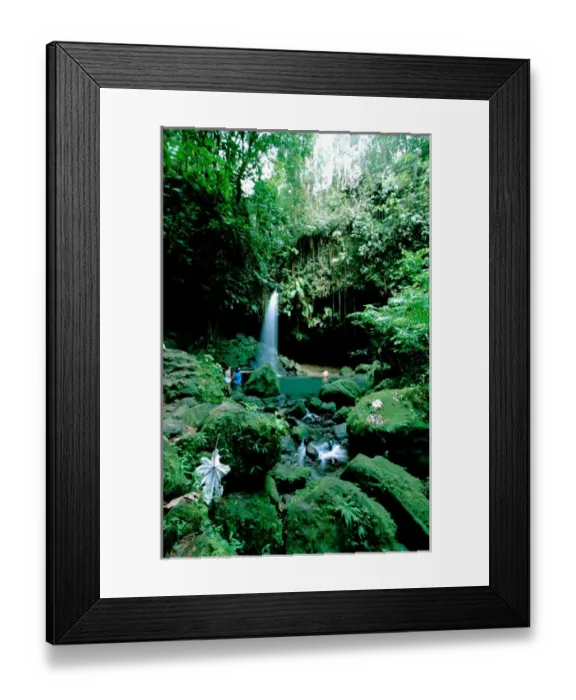 Framed Print : Caribbean, Island of Dominica (aka Nature Island). Trois Piton National Park, Emerald Framed Print : Caribbean, Island of Dominica (aka Nature Island). Trois Piton National Park, Emerald