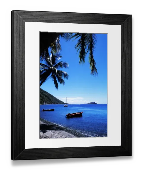 Framed Print : Graphic palms and boats in Soufrier, Dominica Framed Print : Graphic palms and boats in Soufrier, Dominica