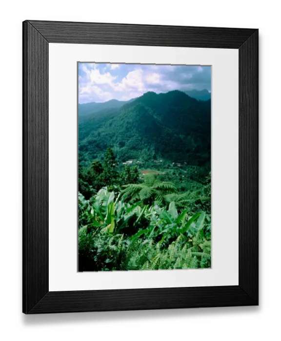 Framed Print : Caribbean, Island of Dominica (aka Nature Island). Lush tropical island landscape Framed Print : Caribbean, Island of Dominica (aka Nature Island). Lush tropical island landscape