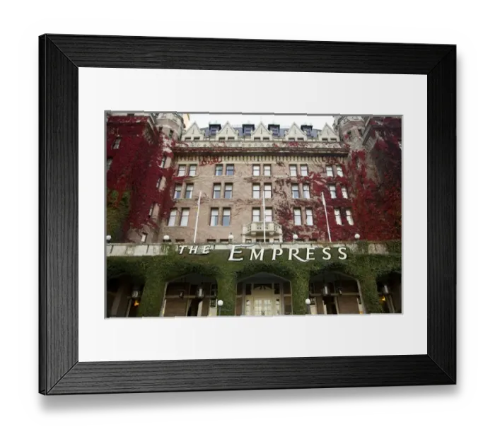 Framed Print : Autumn-colored Ivy decorating the front of The Fairmont Empress Hotel, Inner Harbour Framed Print : Autumn-colored Ivy decorating the front of The Fairmont Empress Hotel, Inner Harbour