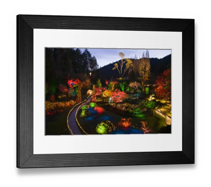 Framed Print : CANADA, British Columbia, Victoria. Christmas Lighting, Butchart Gardens Framed Print : CANADA, British Columbia, Victoria. Christmas Lighting, Butchart Gardens