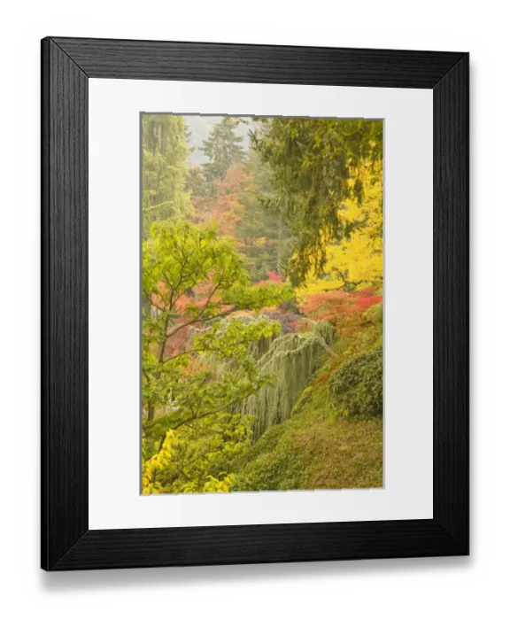 Framed Print : The Sunken Garden, Autumn Colors, Butchart Gardens, National Historic Site of Canada Framed Print : The Sunken Garden, Autumn Colors, Butchart Gardens, National Historic Site of Canada