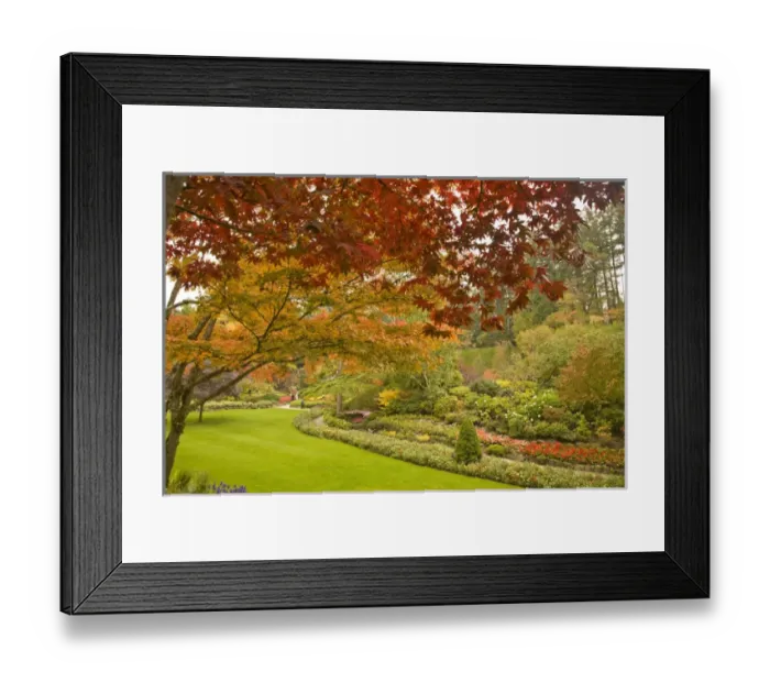 Framed Print : The Sunken Garden, Autumn Colors, Butchart Gardens, National Historic Site of Canada