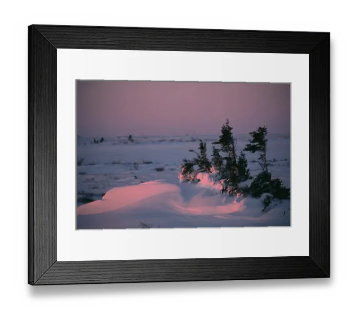 Framed Print : N. A. Canada, Manitoba, Churchill Sunrise in Churchill Framed Print : N. A. Canada, Manitoba, Churchill Sunrise in Churchill