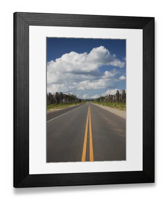 Framed Print : Dominican Republic, Central Area, Finca de Palma, RN7, highway to the Samana Peninsula Framed Print : Dominican Republic, Central Area, Finca de Palma, RN7, highway to the Samana Peninsula