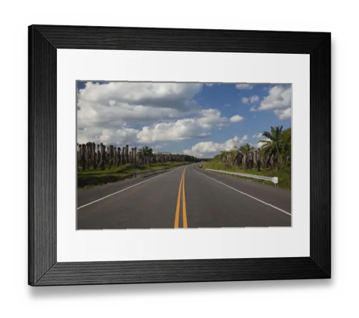 Framed Print : Dominican Republic, Central Area, Finca de Palma, RN7, highway to the Samana Peninsula