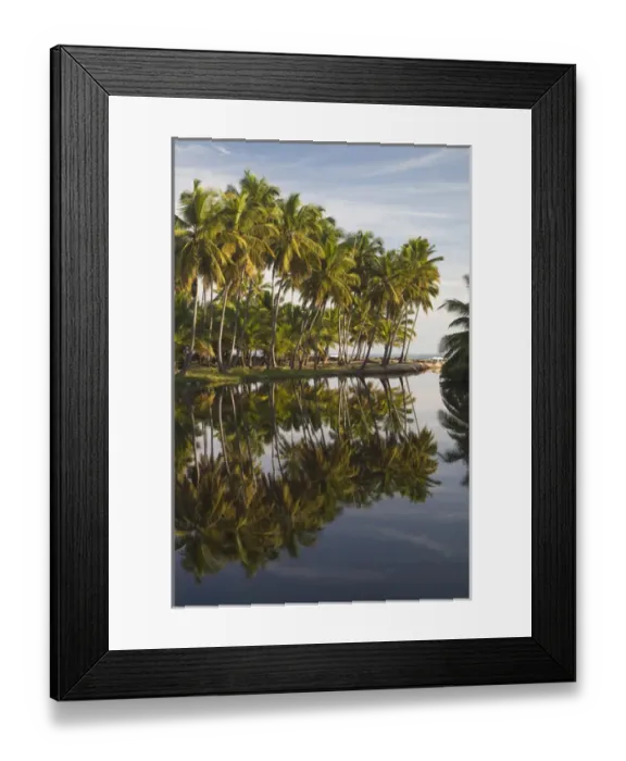 Framed Print : Dominican Republic, North Coast, Nagua, Playa Los Gringos beach, palms Framed Print : Dominican Republic, North Coast, Nagua, Playa Los Gringos beach, palms