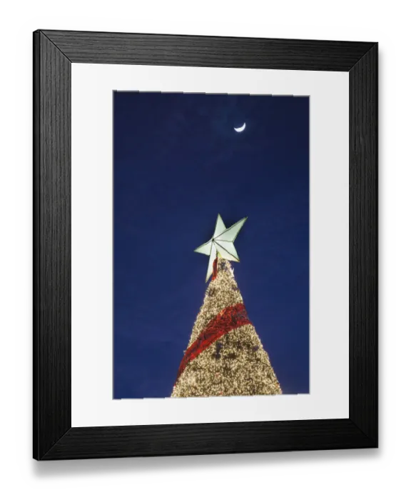 Framed Print : Dominican Republic, Santo Domingo, Zona Colonial, Plaza Espana, Christmas tree, dusk Framed Print : Dominican Republic, Santo Domingo, Zona Colonial, Plaza Espana, Christmas tree, dusk