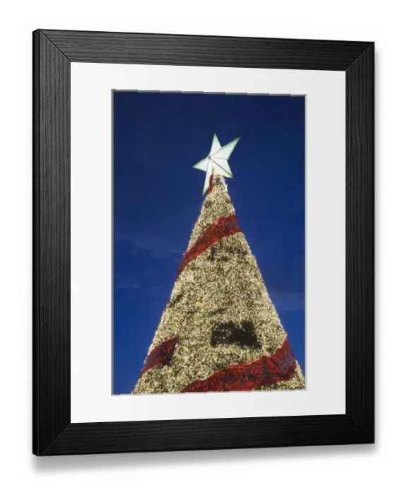 Framed Print : Dominican Republic, Santo Domingo, Zona Colonial, Plaza Espana, Christmas tree, dusk