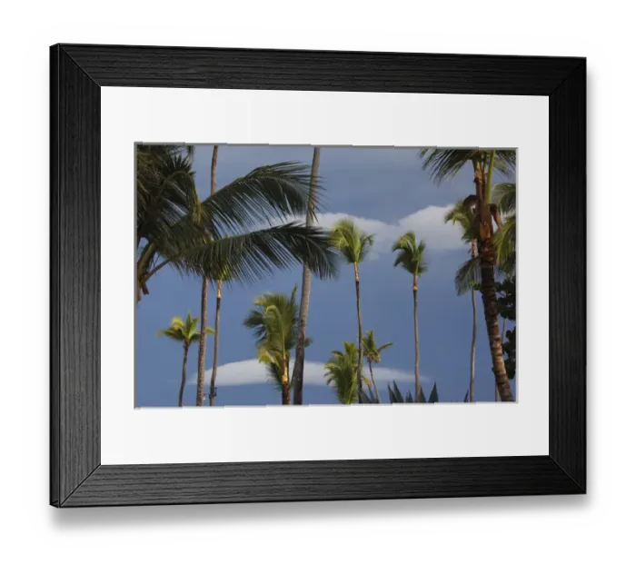 Framed Print : Dominican Republic, Punta Cana Region, Bavaro, beach palms Framed Print : Dominican Republic, Punta Cana Region, Bavaro, beach palms