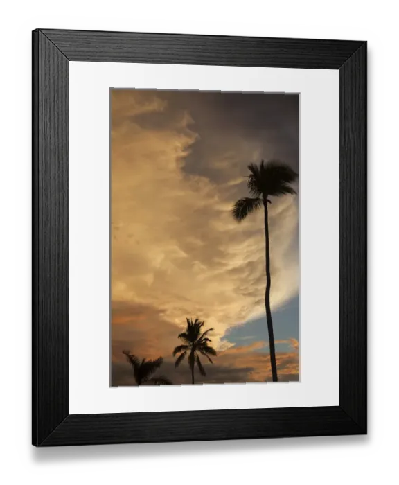 Framed Print : Dominican Republic, Punta Cana Region, Bavaro, palms and sunset sky Framed Print : Dominican Republic, Punta Cana Region, Bavaro, palms and sunset sky