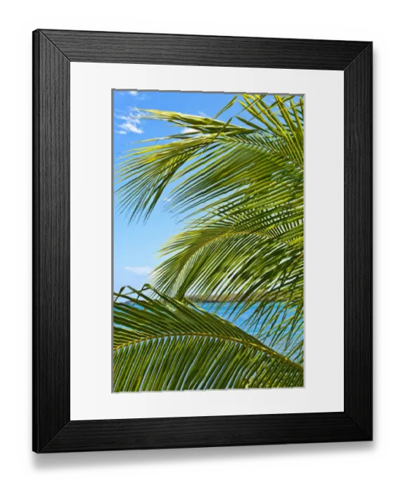 Framed Print : Grenada. Palm trees on beach Framed Print : Grenada. Palm trees on beach