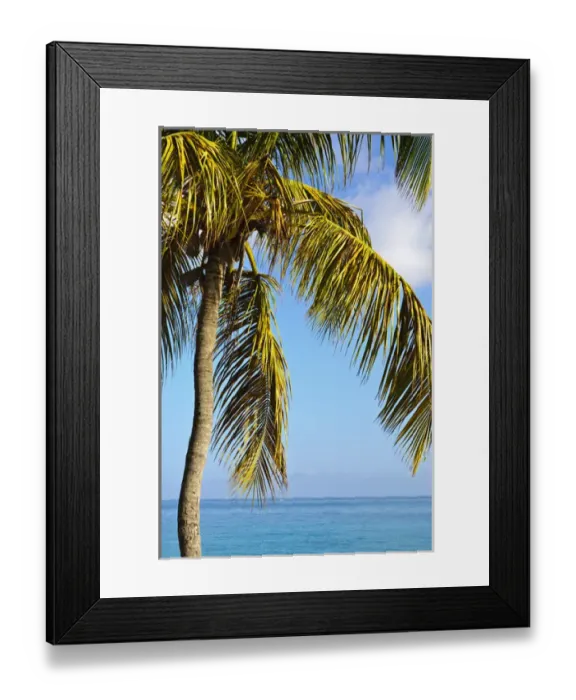 Framed Print : Grenada. Grand Anse Beach Grenada