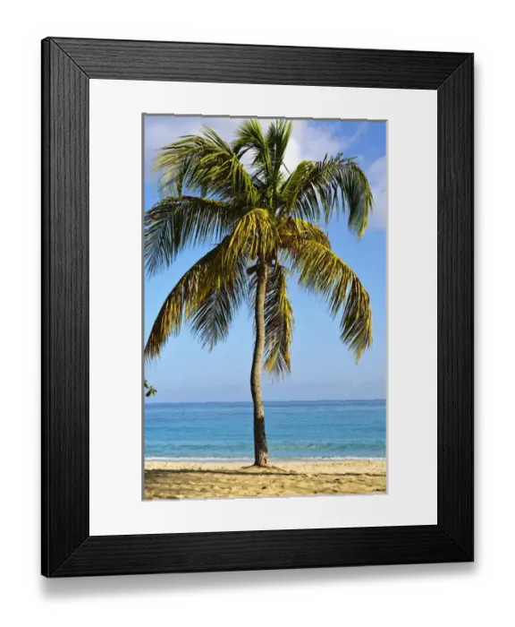 Framed Print : Grenada. Grand Anse Beach Grenada Framed Print : Grenada. Grand Anse Beach Grenada