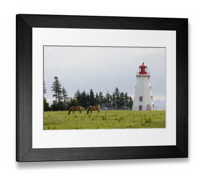 Framed Print : Horse Pasture and Panmure Head Lighthouse, Prince Edward Island, Canada