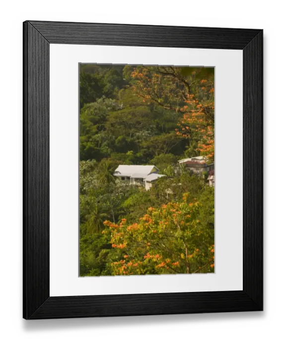 Framed Print : Caribbean, GRENADA, Interior, Boca Tropical Vegetation, Morning Framed Print : Caribbean, GRENADA, Interior, Boca Tropical Vegetation, Morning