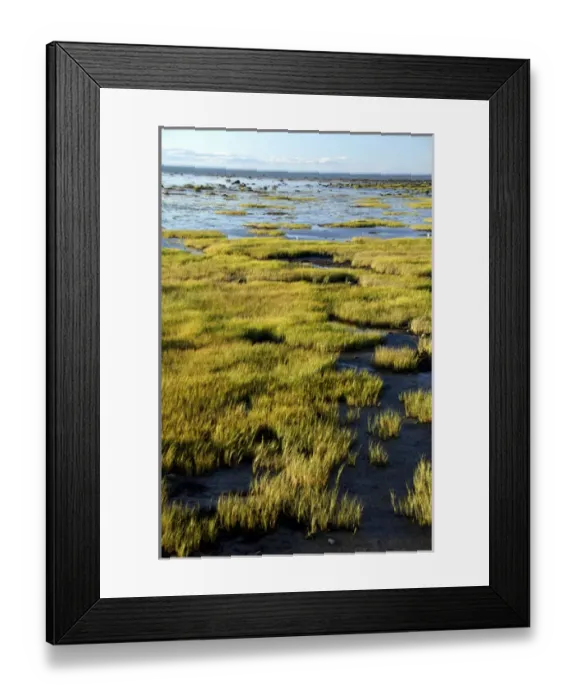 Framed Print : Canada, Quebec, Rimouski. Views of the St. Lawrence River from the Rimouski seaside boardwalk Framed Print : Canada, Quebec, Rimouski. Views of the St. Lawrence River from the Rimouski seaside boardwalk