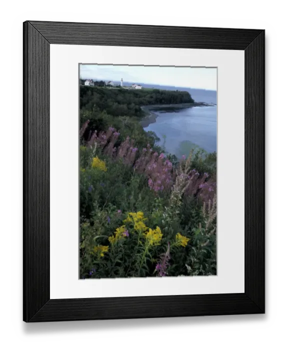 Framed Print : North America, Canada, Quebec, Gaspe Peninsula (Gaspesie) Riviere Madeleine coast