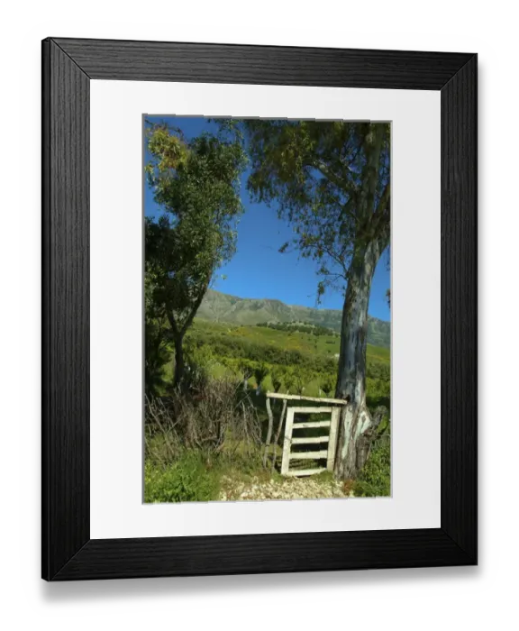 Framed Print : Albania, Flora, Countryside Framed Print : Albania, Flora, Countryside
