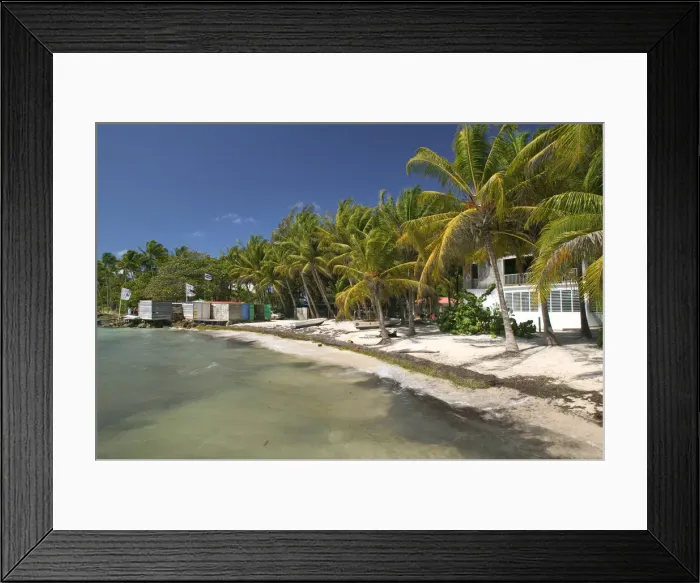 Framed Print : FRENCH WEST INDIES (FWI)-Guadaloupe-Grande-Terre-SAINTE-ANNE: Caravelle Beach-Fishing Framed Print : FRENCH WEST INDIES (FWI)-Guadaloupe-Grande-Terre-SAINTE-ANNE: Caravelle Beach-Fishing
