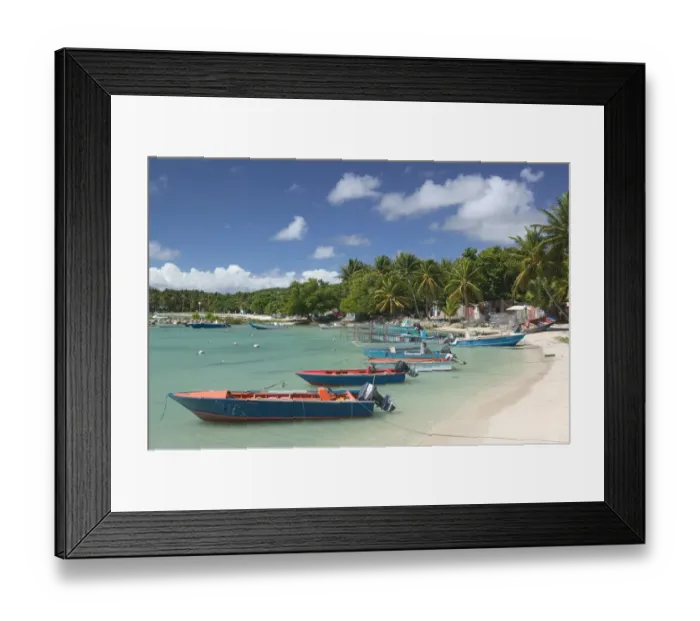Framed Print : FRENCH WEST INDIES (FWI)-Guadaloupe-Grande-Terre-SAINTE-ANNE: Caravelle Beach-Fishing Framed Print : FRENCH WEST INDIES (FWI)-Guadaloupe-Grande-Terre-SAINTE-ANNE: Caravelle Beach-Fishing
