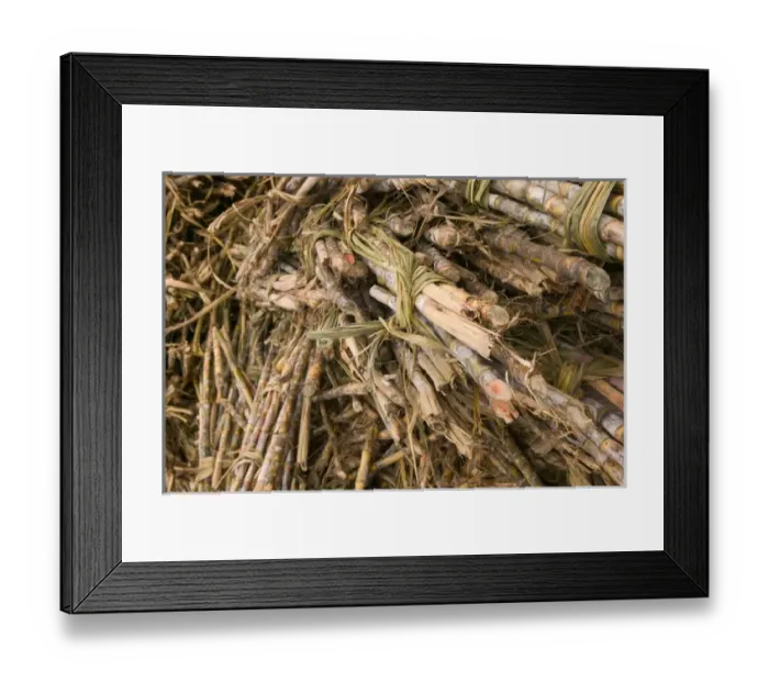 Framed Print : FRENCH WEST INDIES (FWI)-Guadaloupe-Marie-Galante Island: Distillerie Bielle