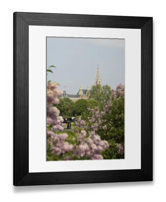 Framed Print : Europe, Austria, Vienna, view of Rathaus, Heldenplatz Framed Print : Europe, Austria, Vienna, view of Rathaus, Heldenplatz