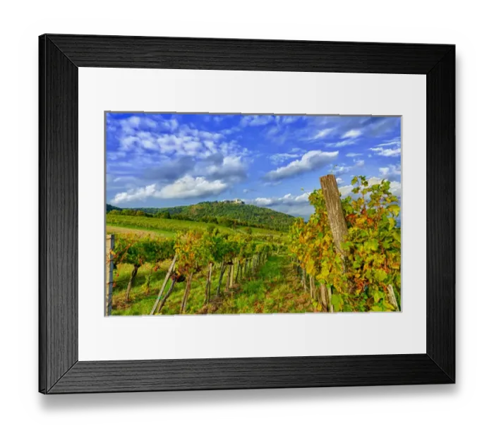 Framed Print : Europe, Austria, Vienna. Vienna has 630 producers -- one wine producer per 2, 500 Framed Print : Europe, Austria, Vienna. Vienna has 630 producers -- one wine producer per 2, 500
