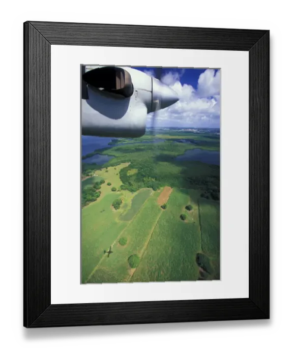 Framed Print : Caribbean, French West Indies, Guadeloupe, Grande Terre. Airplane view of sugar cane Framed Print : Caribbean, French West Indies, Guadeloupe, Grande Terre. Airplane view of sugar cane