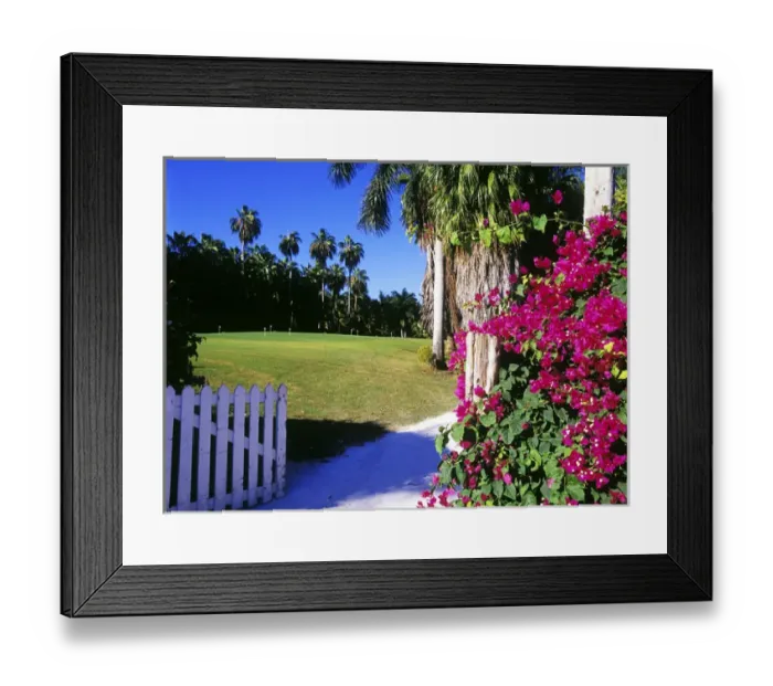 Framed Print : Half Moon Resort, Montego Bay, Jamaica Framed Print : Half Moon Resort, Montego Bay, Jamaica