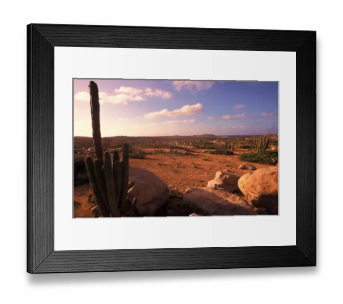 Framed Print : Caribbean, Aruba, Alto Vista cactus desert
