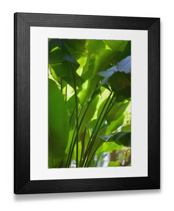Framed Print : BAHAMAS-New Providence Island-Nassau: Atlantis Resort & Casino / Paradise Island Framed Print : BAHAMAS-New Providence Island-Nassau: Atlantis Resort & Casino / Paradise Island