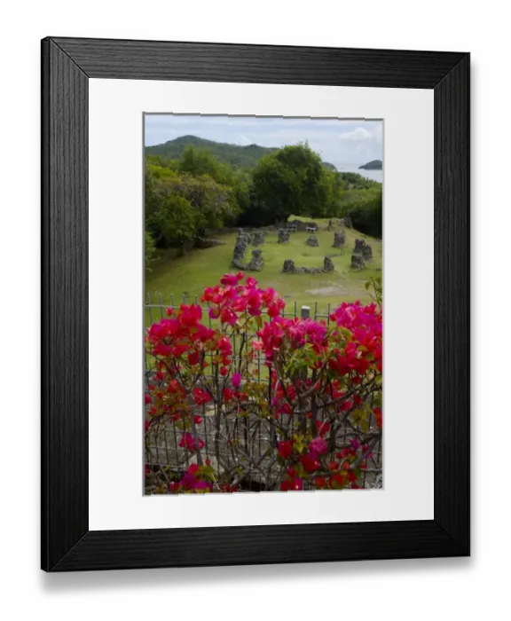 Framed Print : MARTINIQUE. French Antilles. West Indies. Flowering bougainvillea & ruins at site Framed Print : MARTINIQUE. French Antilles. West Indies. Flowering bougainvillea & ruins at site