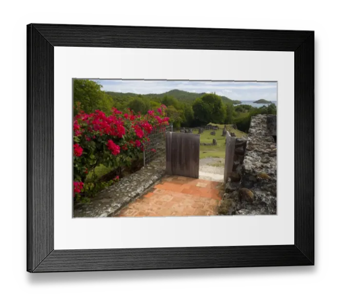 Framed Print : MARTINIQUE. French Antilles. West Indies. Flowering bougainvillea & ruins at site Framed Print : MARTINIQUE. French Antilles. West Indies. Flowering bougainvillea & ruins at site