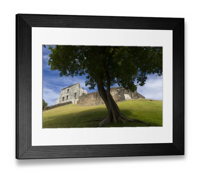 Framed Print : MARTINIQUE. French Antilles. West Indies. Ruins at Chateau Dubuc on the Caravelle Peninsula Framed Print : MARTINIQUE. French Antilles. West Indies. Ruins at Chateau Dubuc on the Caravelle Peninsula