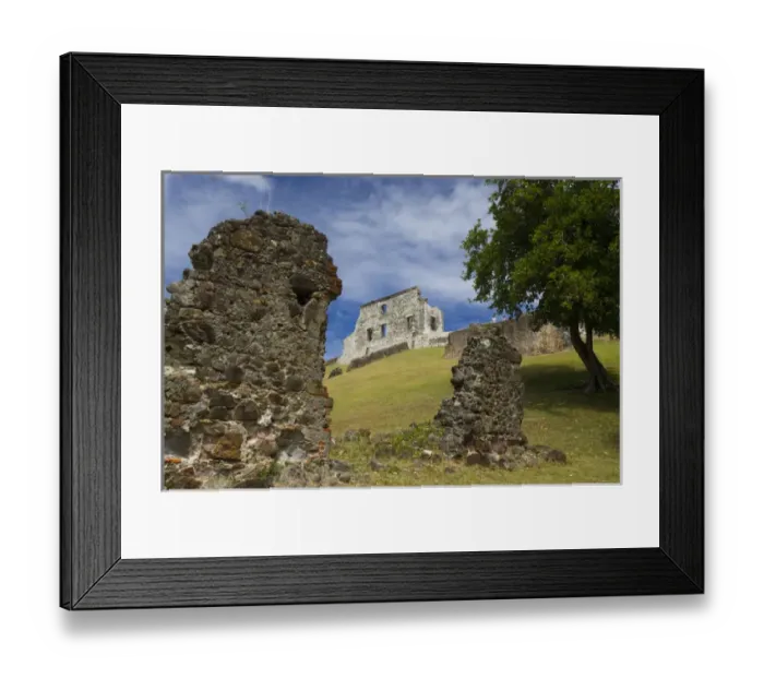 Framed Print : MARTINIQUE. French Antilles. West Indies. Ruins at Chateau Dubuc on the Caravelle Peninsula Framed Print : MARTINIQUE. French Antilles. West Indies. Ruins at Chateau Dubuc on the Caravelle Peninsula