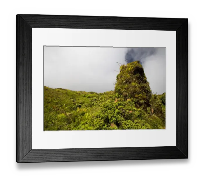 Framed Print : MARTINIQUE. French Antilles. West Indies. Low-growing lush tropical vegetation covers Framed Print : MARTINIQUE. French Antilles. West Indies. Low-growing lush tropical vegetation covers