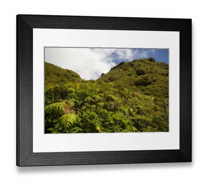 Framed Print : MARTINIQUE. French Antilles. West Indies. Low-growing lush tropical vegetation covers Framed Print : MARTINIQUE. French Antilles. West Indies. Low-growing lush tropical vegetation covers