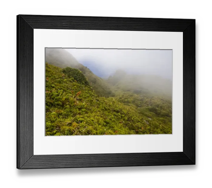 Framed Print : MARTINIQUE. French Antilles. West Indies. Fog blows across sopes near summit of Mt Framed Print : MARTINIQUE. French Antilles. West Indies. Fog blows across sopes near summit of Mt