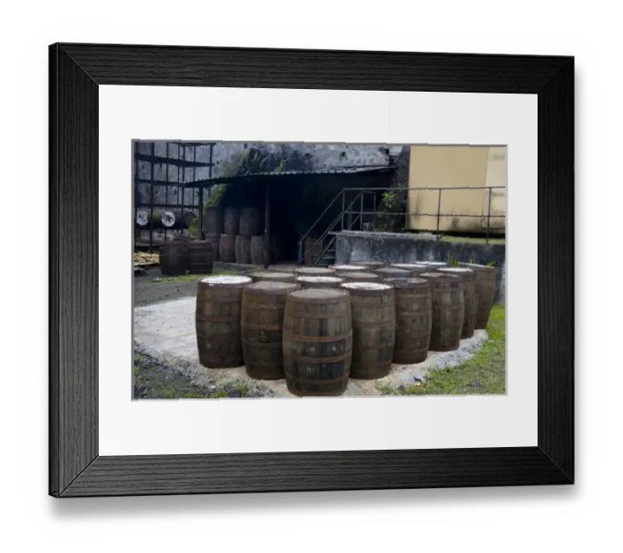 Framed Print : MARTINIQUE. French Antilles. West Indies. J. M. Distillery in Macouba. Oak barrels