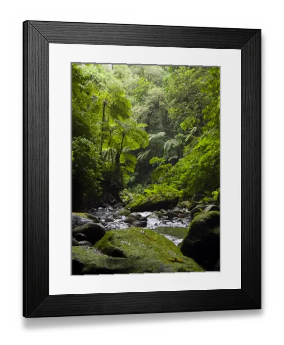 Framed Print : MARTINIQUE. French Antilles. West Indies. Gorge of the Falaise River (Gorges de la Framed Print : MARTINIQUE. French Antilles. West Indies. Gorge of the Falaise River (Gorges de la