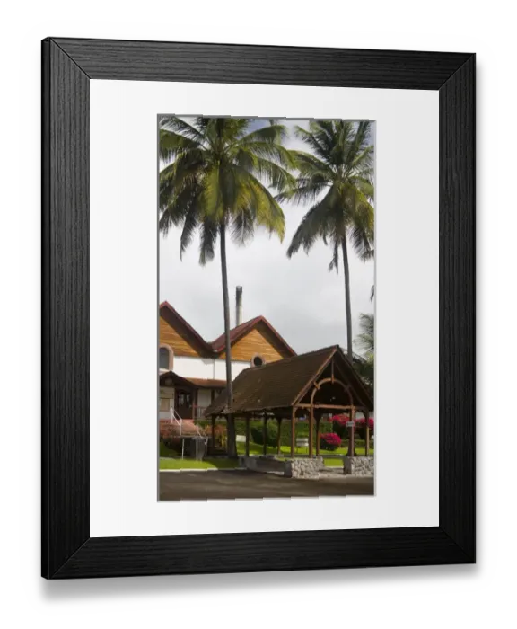 Framed Print : MARTINIQUE. French Antilles. West Indies. St. Pierre. Royal palms & visitor center  /  gift