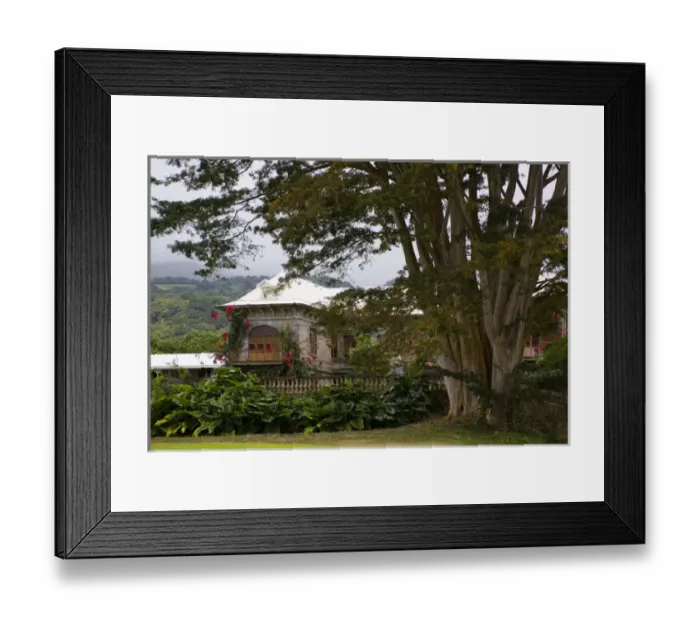 Framed Print : MARTINIQUE. French Antilles. West Indies. St. Pierre. Chateau Depaz on grounds of Framed Print : MARTINIQUE. French Antilles. West Indies. St. Pierre. Chateau Depaz on grounds of