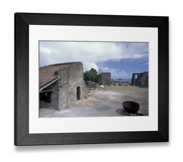Framed Print : Caribbean, French West Indies, Martinique Caravelle Penninsula; ruins of Chateau Bubuc