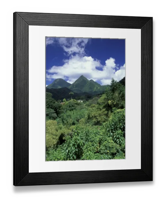 Framed Print : Caribbean, French West Indies, Martinique. Route de la Trace. View of the Pitonsdu Framed Print : Caribbean, French West Indies, Martinique. Route de la Trace. View of the Pitonsdu
