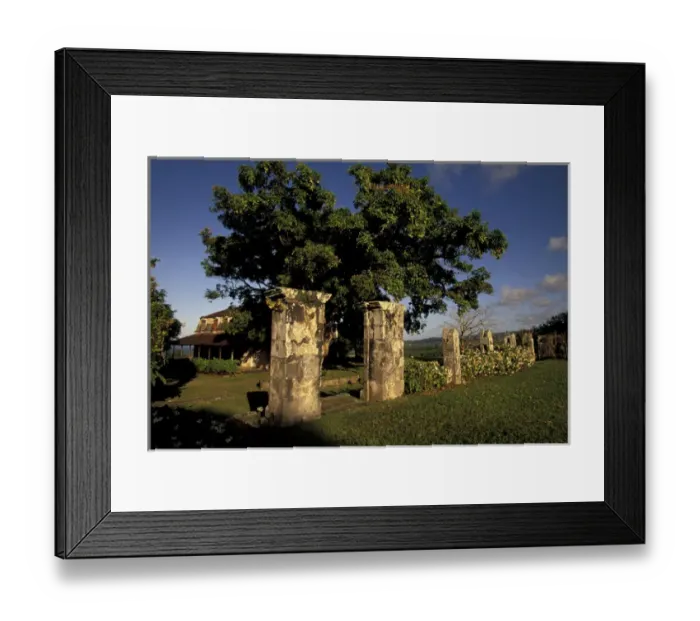 Framed Print : Caribbean, French West Indies, Martinique, Basse Pointe. Plantation Leyritz. 18th
