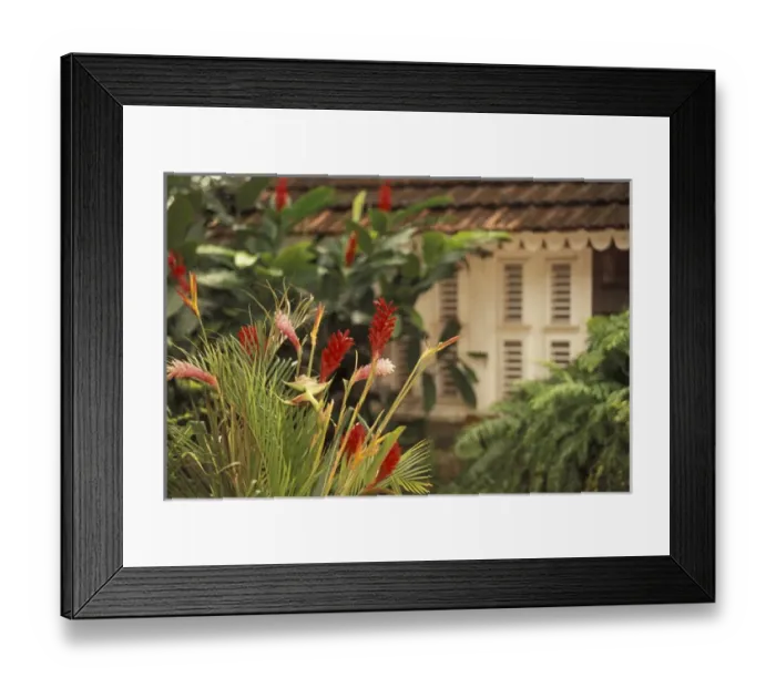 Framed Print : Caribbean, French West Indies, Martinique Le Francois; Habitation Clement; rum Framed Print : Caribbean, French West Indies, Martinique Le Francois; Habitation Clement; rum