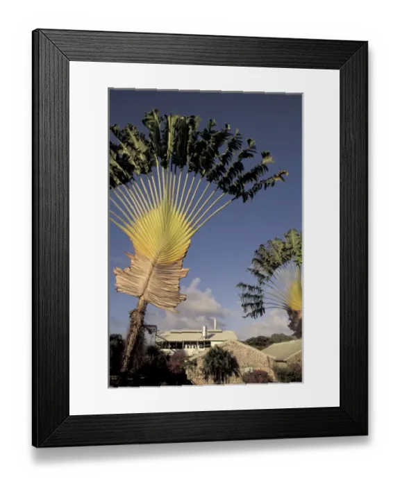Framed Print : Caribbean, French West Indies, Martinique Le Francois; Habitation Clement; rum Framed Print : Caribbean, French West Indies, Martinique Le Francois; Habitation Clement; rum